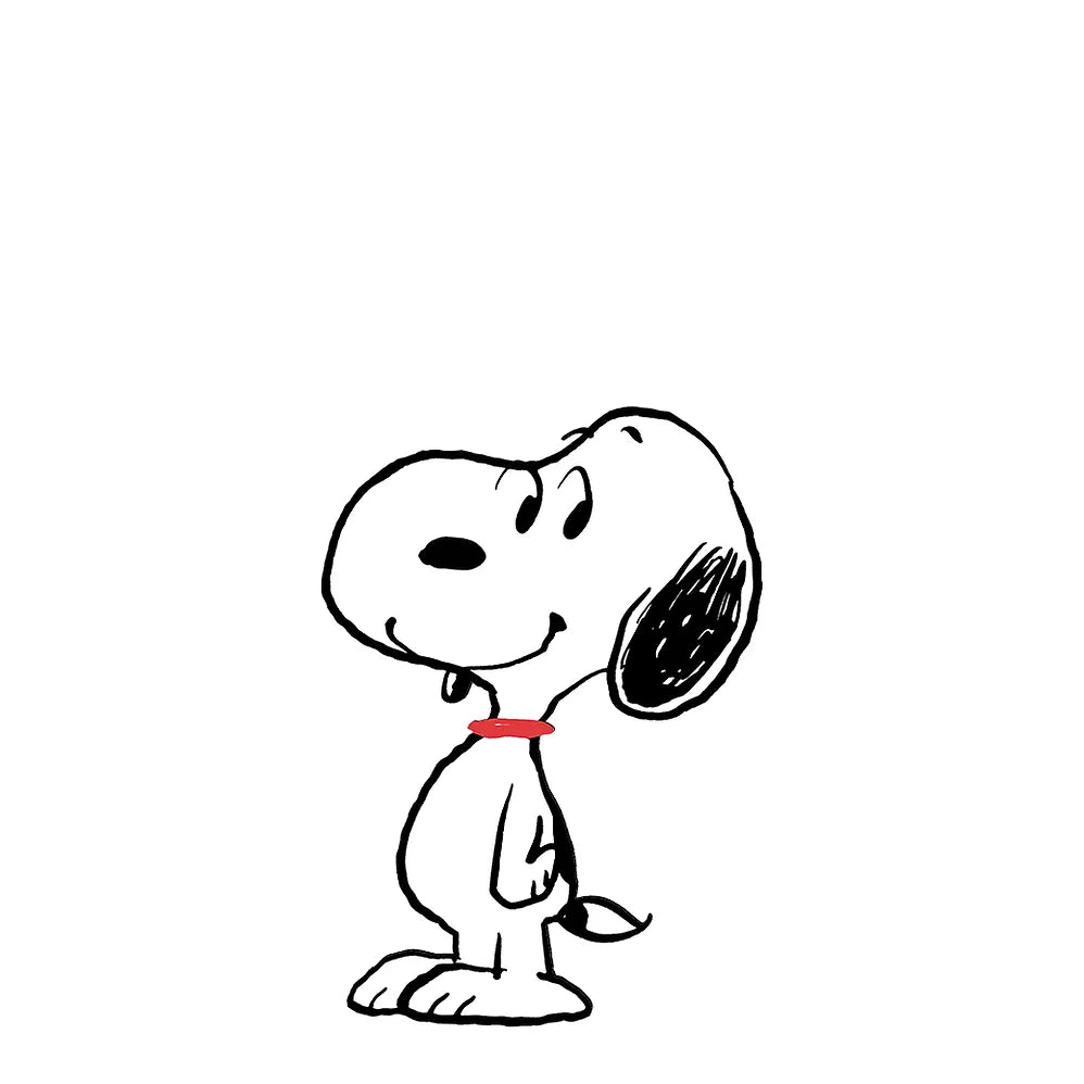 Snoopy's Doghouse