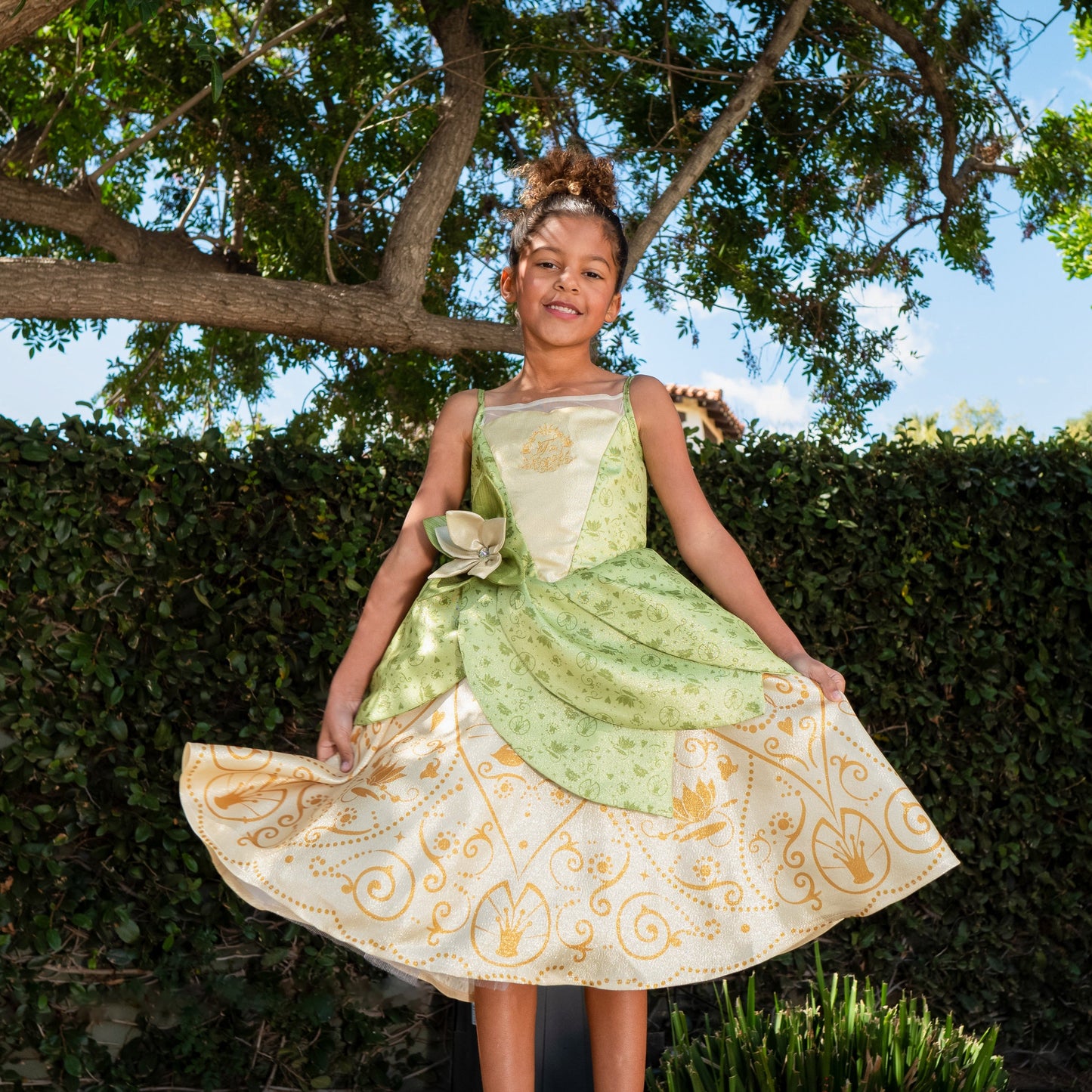 A Leading Role x Disney Princess Tiana Premium Washable Dress Up