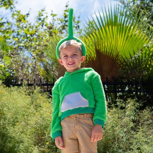 Teletubbies Premium Dipsy Pullover Child Hoodie