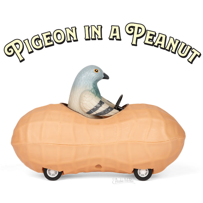 Pigeon in a Peanut