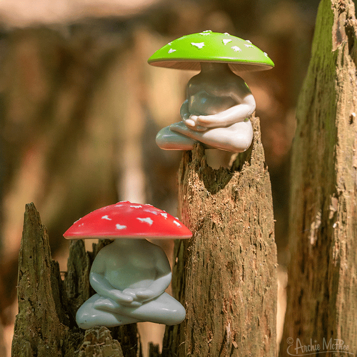 Meditating Mushroom