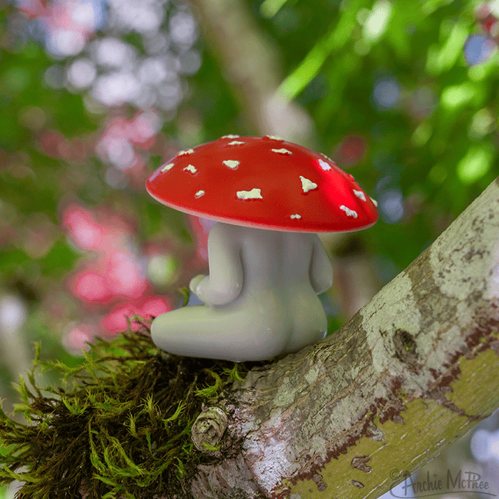 Meditating Mushroom