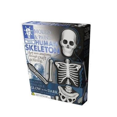 Human Skeleton Mould & Paint Kit