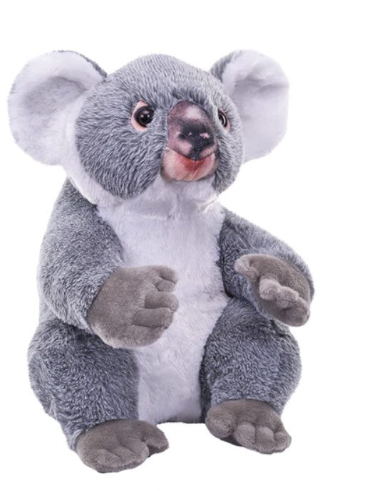 Koala Plush Artist Collection