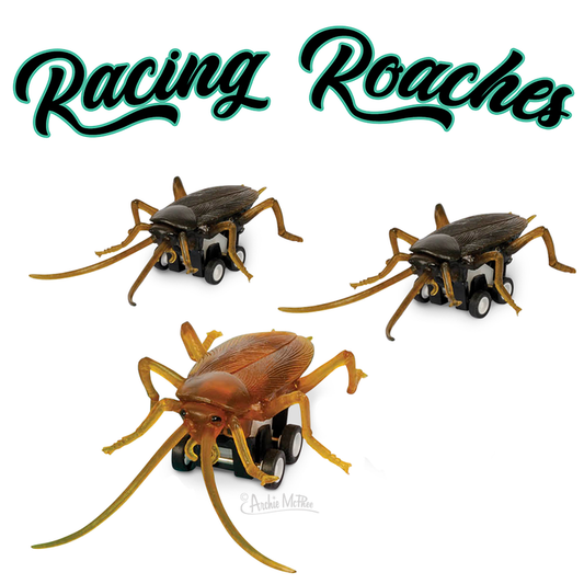 Racing Roaches