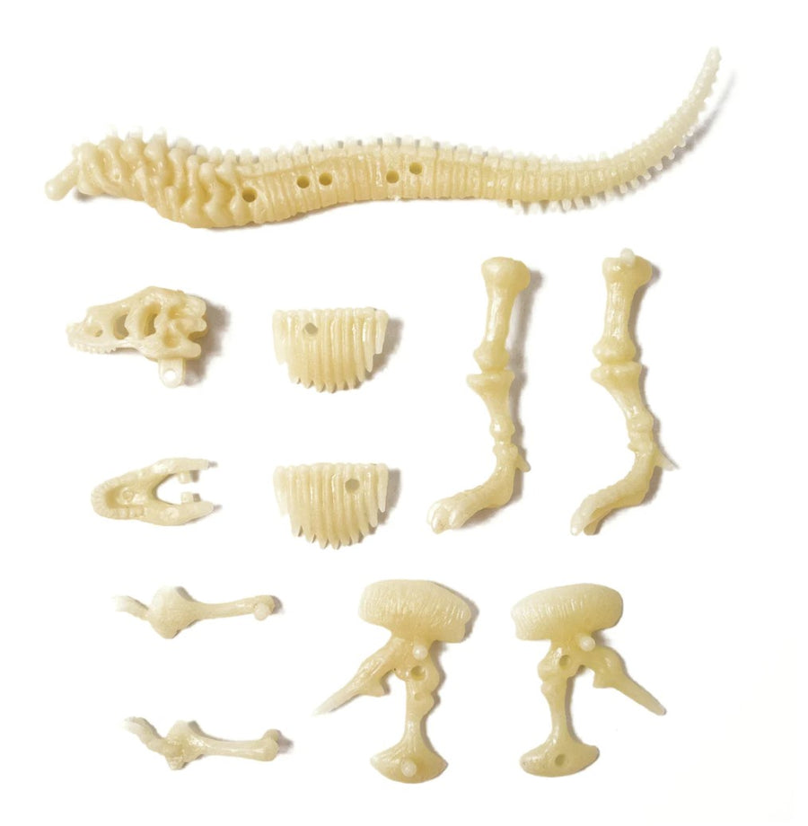 Glow Kit T Rex Dinosaur Skeleton